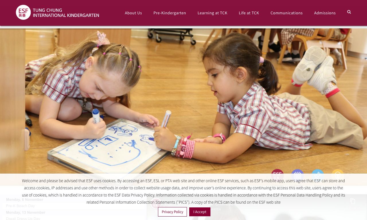 Screenshot of the Home Page of ESF INTERNATIONAL KINDERGARTEN (TUNG CHUNG)